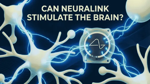 Can Neuralink Stimulate the Brain? Speed and Feasibility Explored