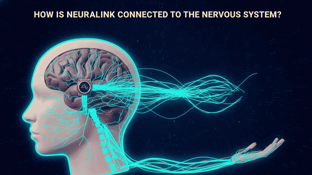 How Is Neuralink Connected to the Nervous System? Tech Deep Dive